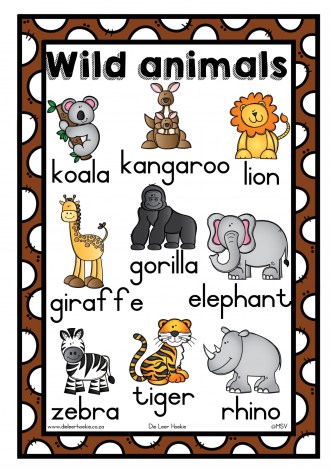 Animals Posters A3. (M)_4
